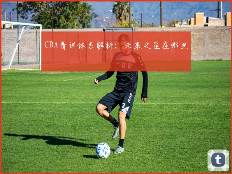 CBA青训体系解析：未来之星在哪里
