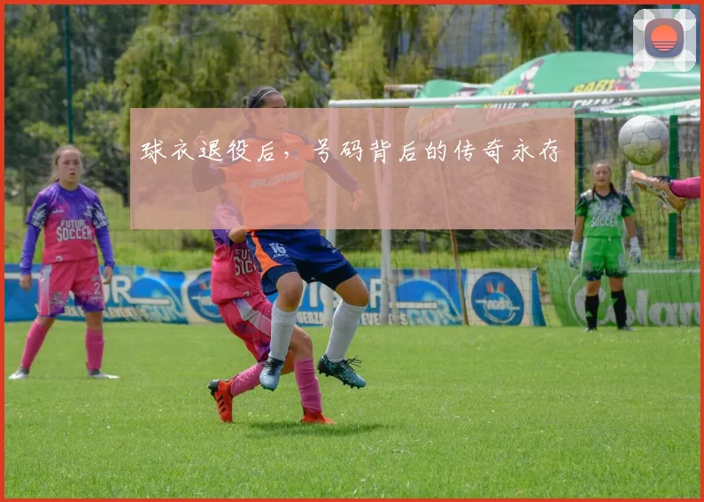 球衣退役后，号码背后的传奇永存