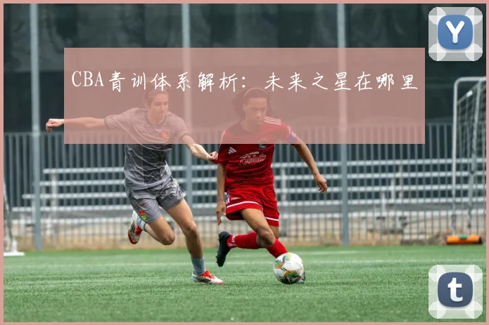 CBA青训体系解析：未来之星在哪里